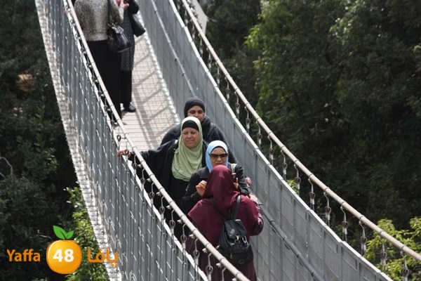 re7la7efa483 (66).JPG